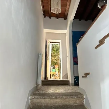 La Casa Del Polpo Rosa *